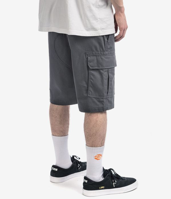 DICKIES MILLERVILLE GREY SHORT DK0A4XEDCH0