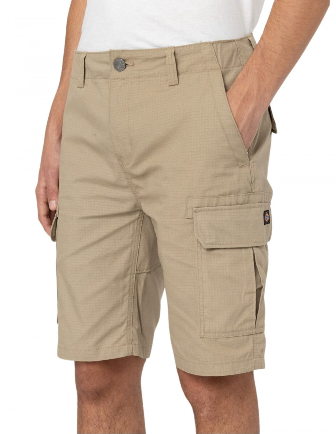 DICKIES MILLERVILLE CAQUI SHORT DK0A4XEDKHK