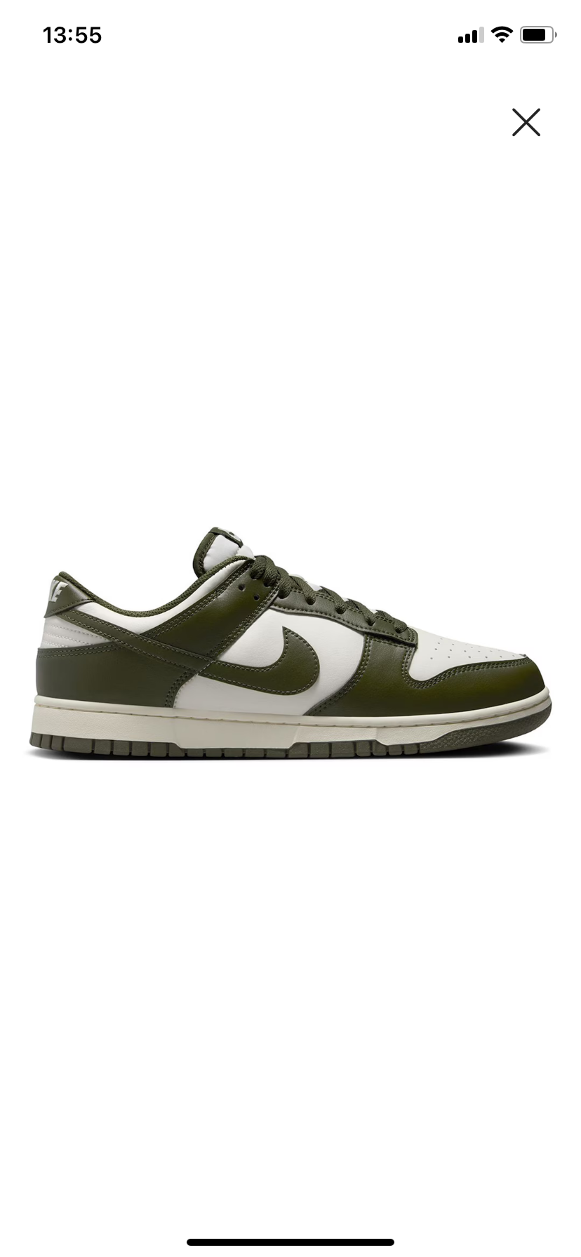 Nike Dunk Low Retro HF5441-102