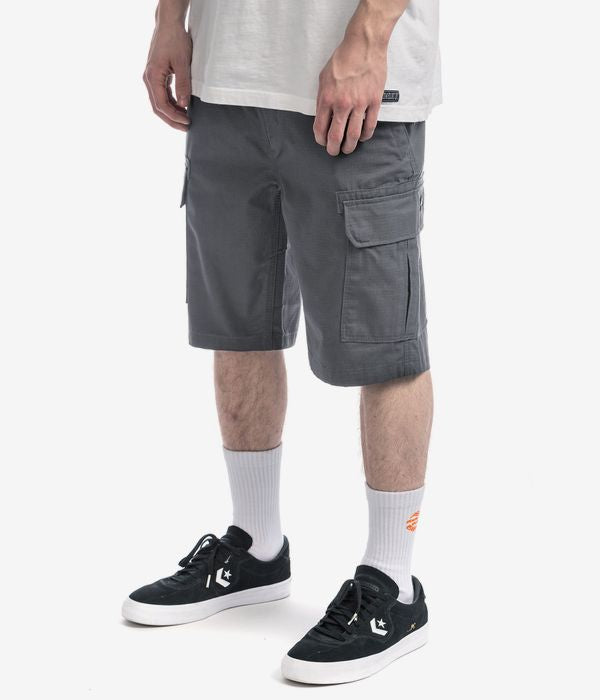 DICKIES MILLERVILLE GREY SHORT DK0A4XEDCH0
