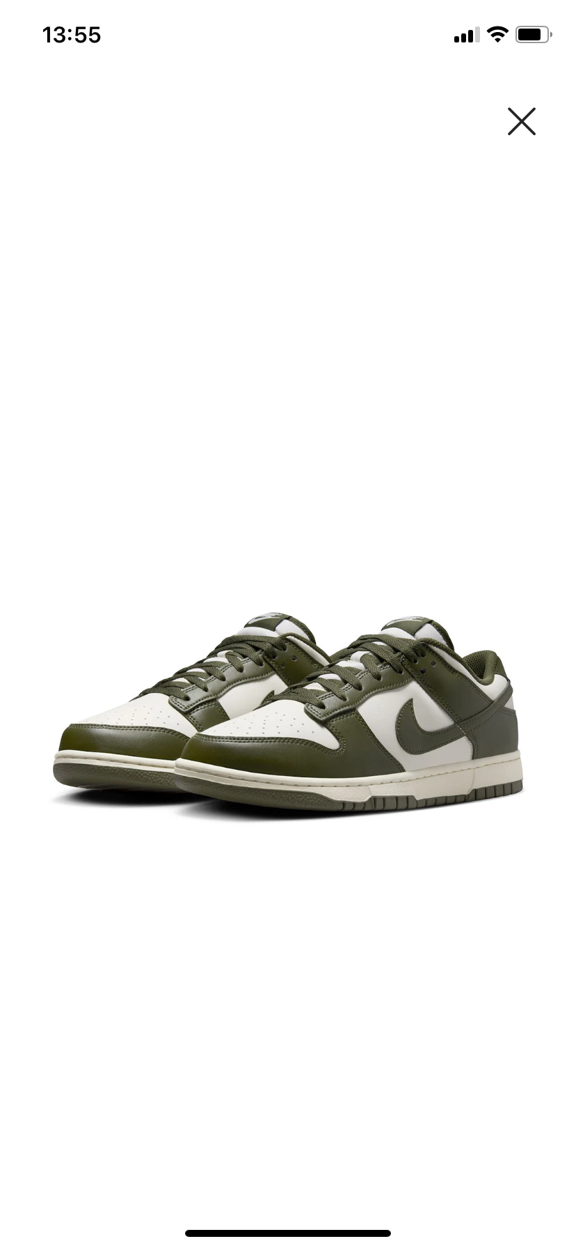 Nike Dunk Low Retro HF5441-102