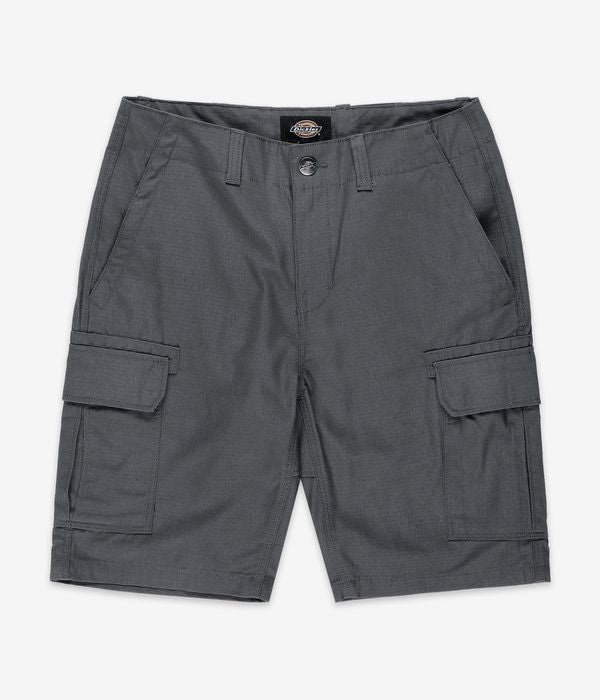 DICKIES MILLERVILLE GREY SHORT DK0A4XEDCH0