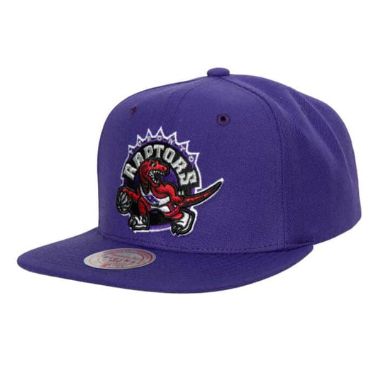 MITCHELL AND NESS TEAM GROUND 2.0 SNAPBACK HWC RAPTORS