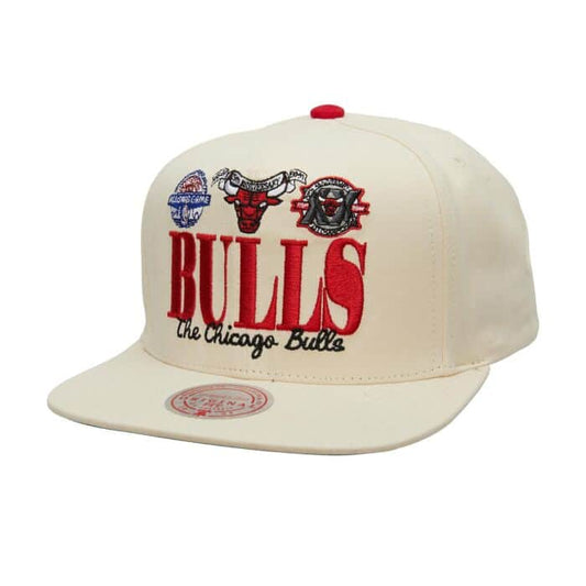 MITCHELL AND NESS NBA REFRAME RETRO SNAPBACK HWC BULLS