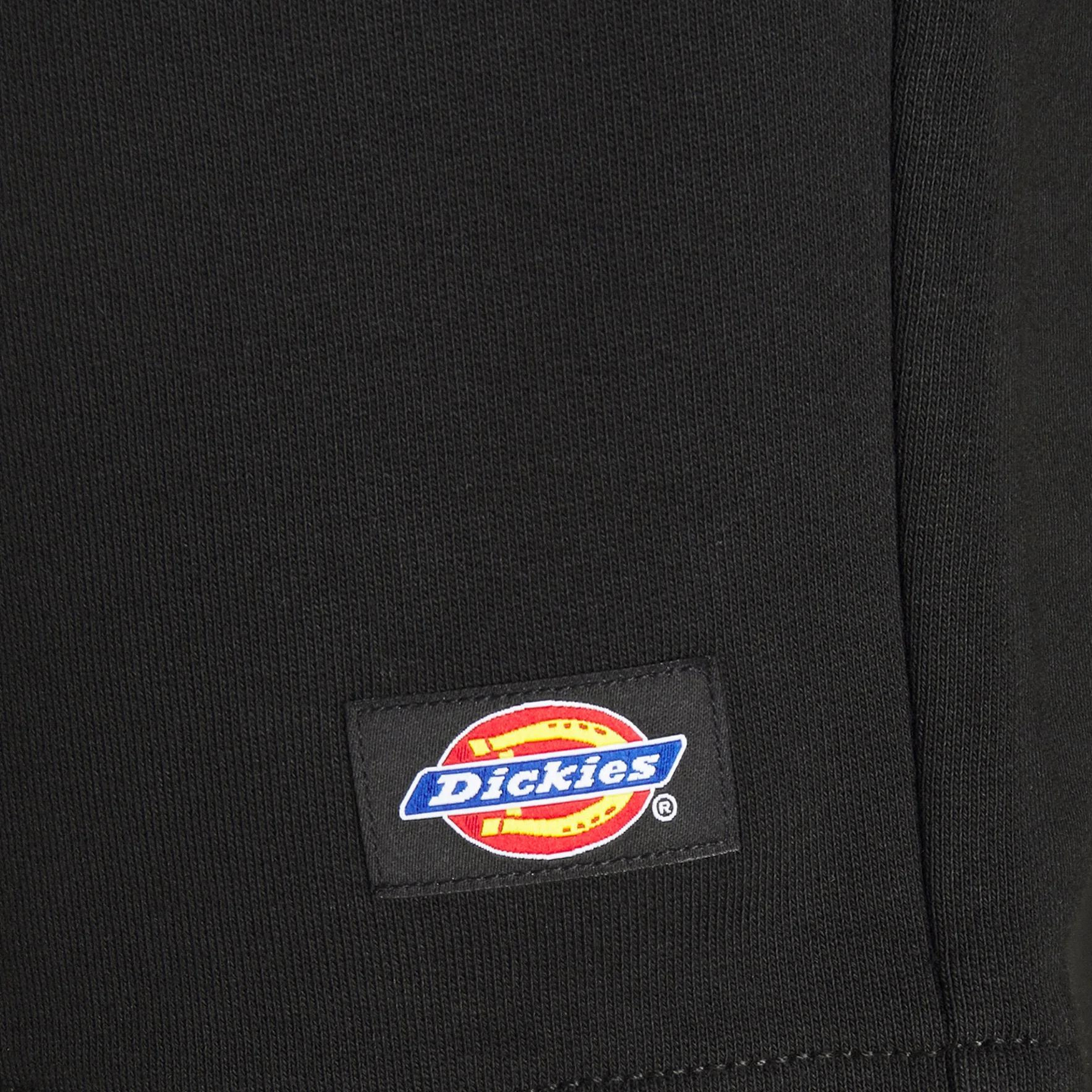 DICKIES CAMPLIN SHORTS BLACK DK0A4XAYBLK
