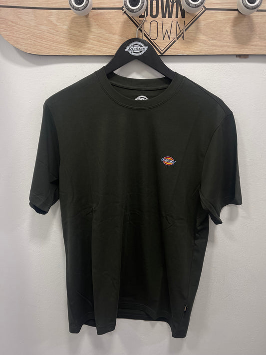 DICKIES BASIC VERDE