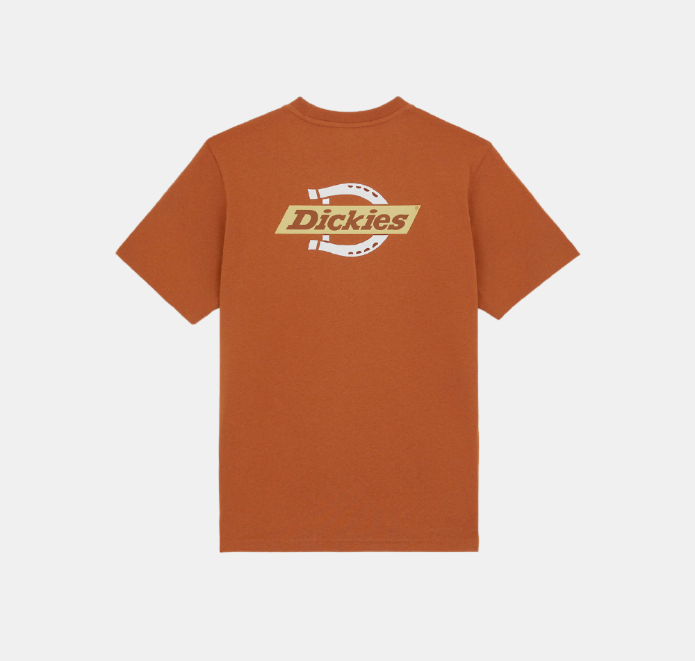 DICKIES RUSTON MARRÓN