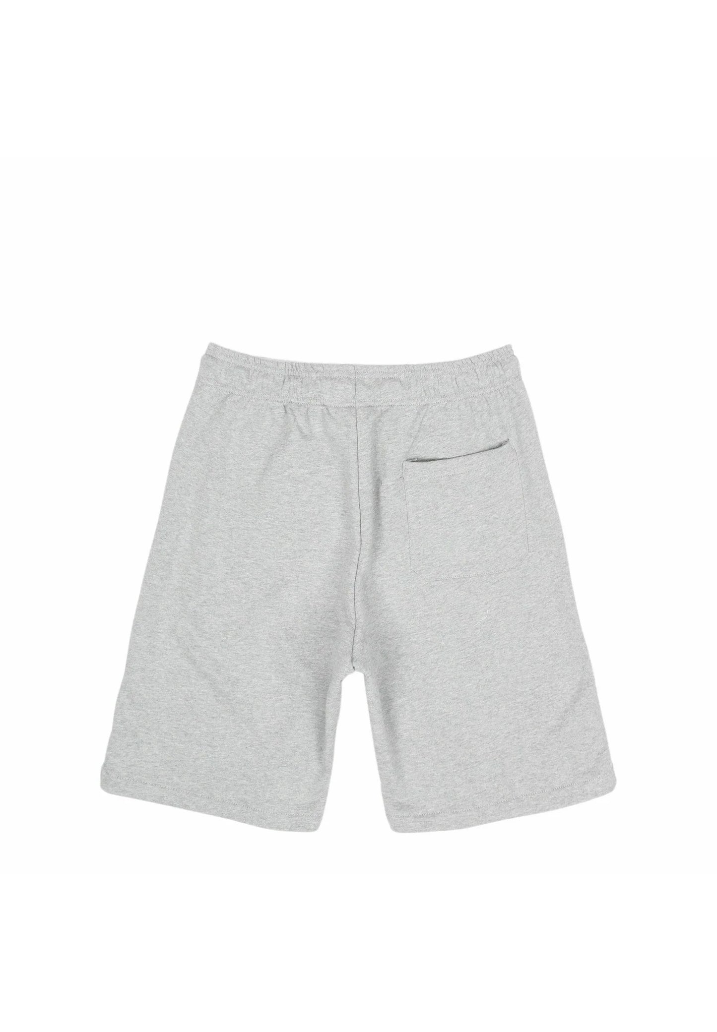 DICKIES MAPLETON SHORT GREY